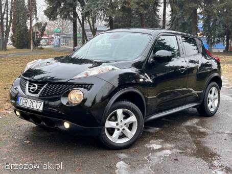 Nissan Juke 2013