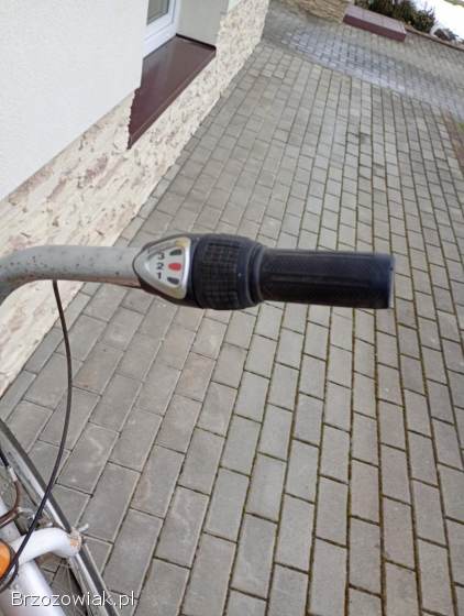 Rower damka koło 26