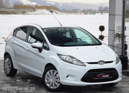 Ford Fiesta 1.  25 Trend 2010