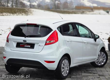 Ford Fiesta 1.  25 Trend 2010