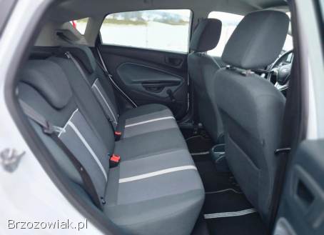 Ford Fiesta 1.  25 Trend 2010