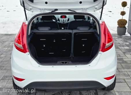Ford Fiesta 1.  25 Trend 2010