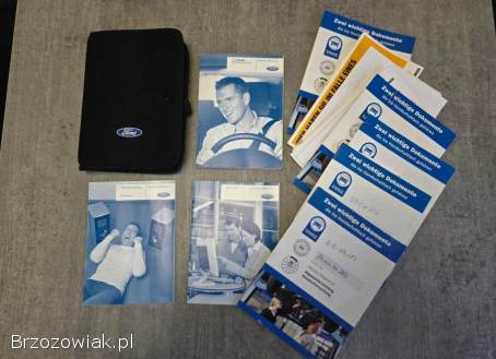 Ford Fiesta 1.  25 Trend 2010