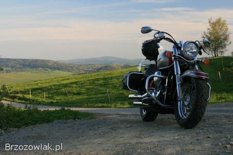 Kawasaki Vulcan LT 2007