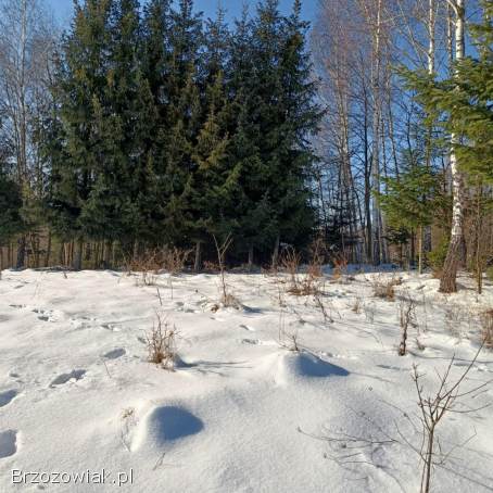 Działka budowlana Turze Pole