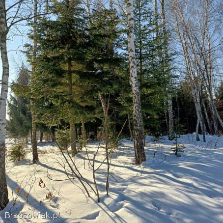 Działka budowlana Turze Pole