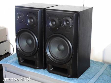 Kolumny Sony SS-EX75 mocne 2 x 100 wat.  DOSTAWA