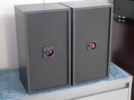 Kolumny Sony SS-EX75 mocne 2 x 100 wat.  DOSTAWA