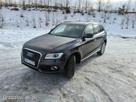 Audi Q5 Suv 2015