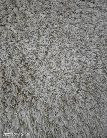 Dywany Shaggi