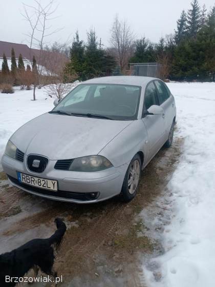 Seat Ibiza 2004