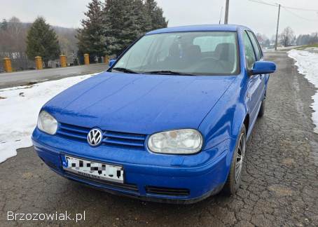Volkswagen Golf 4 1.  6 SR benzyna 1999