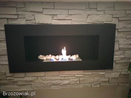 Wkład go Biokominka