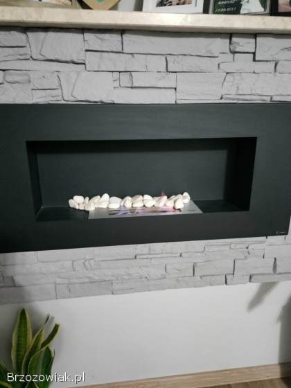 Wkład go Biokominka