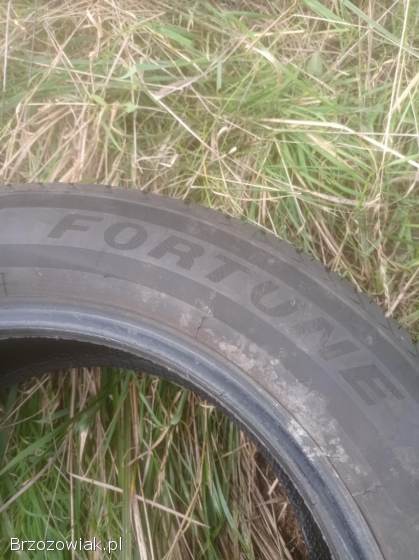 205/60 R16 letnie opony FORTUNE FORFUN FSR -  802