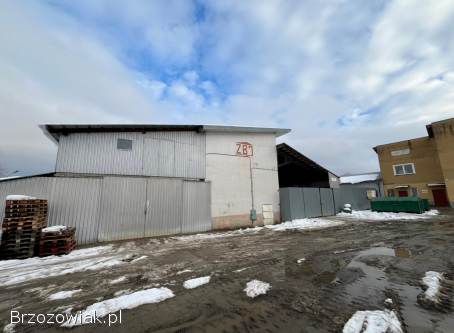 Magazyn Brzozów Sprzedam