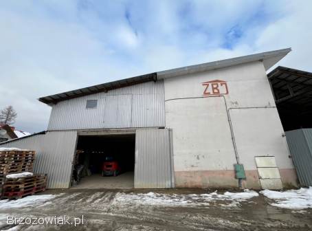 Magazyn Brzozów Sprzedam