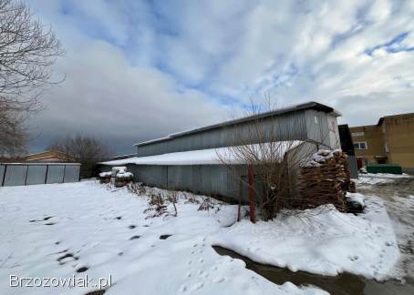 Magazyn Brzozów Sprzedam