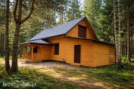 Domki drewniane szkieletowe letniskowe i całoroczne