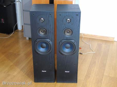 Mocne kolumny Magnat 2 x 220 wat.  DOSTAWA