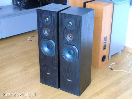 Mocne kolumny Magnat 2 x 220 wat.  DOSTAWA