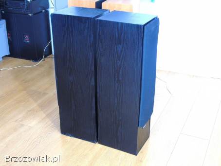 Mocne kolumny Magnat 2 x 220 wat.  DOSTAWA