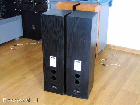Mocne kolumny Magnat 2 x 220 wat.  DOSTAWA