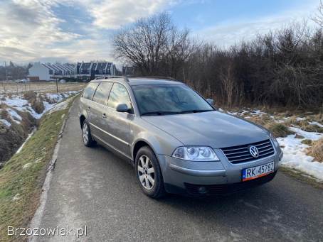 Volkswagen Passat B5 2002