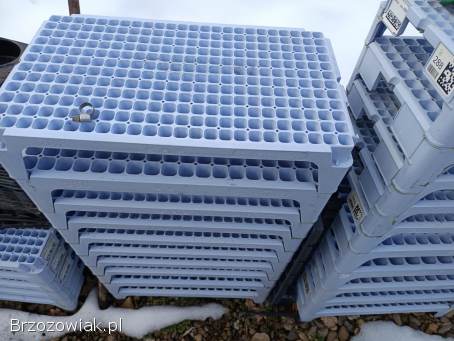 Multiplaty -  Wielodoniczki