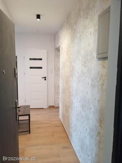 Usługi Remontowo-Budowlane