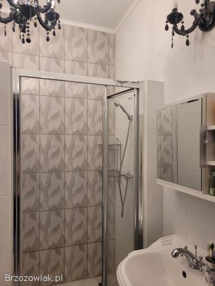 Do wynajęcia mieszkanie