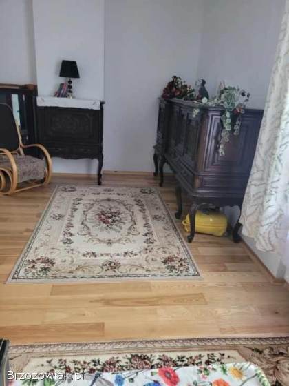 Do wynajęcia mieszkanie