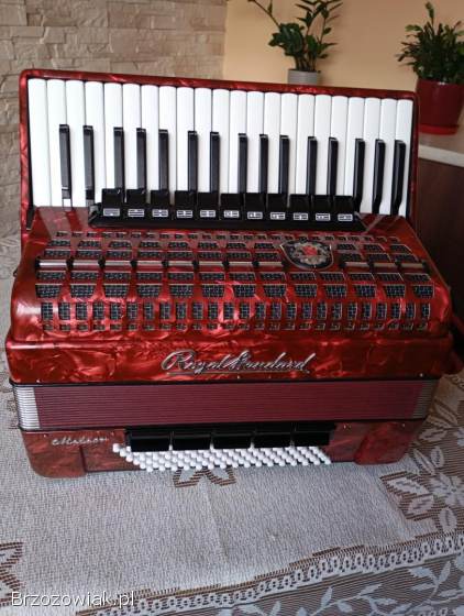 Akordeon Royal Standard Meteor 96 B
