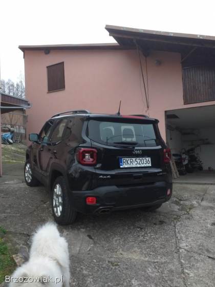 Jeep Renegade 4x4 manual 2019