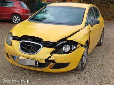 Seat Leon 1,  6MPi 2007