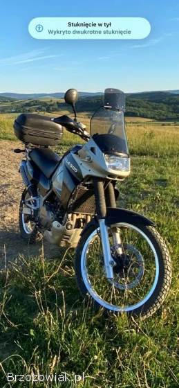 Kawasaki KLE KLE 500 2002