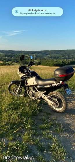 Kawasaki KLE KLE 500 2002
