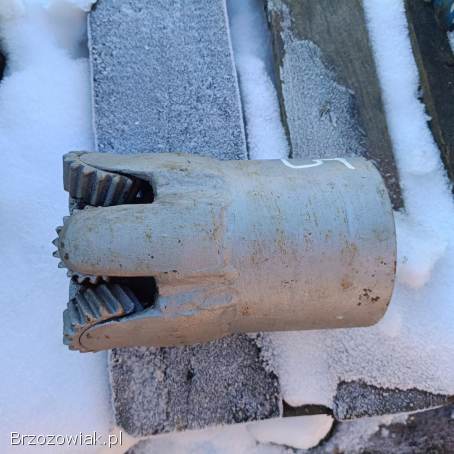 SPRZEDAM ŚWIDRY/GRYZERY