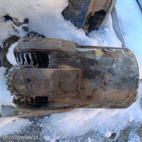 SPRZEDAM ŚWIDRY/GRYZERY