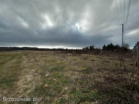 Działka w Kopytowej