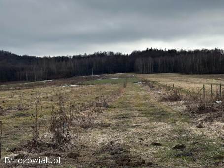 Działka w Kopytowej