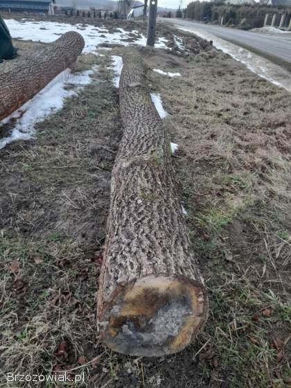 Sprzedam kloce dębowe