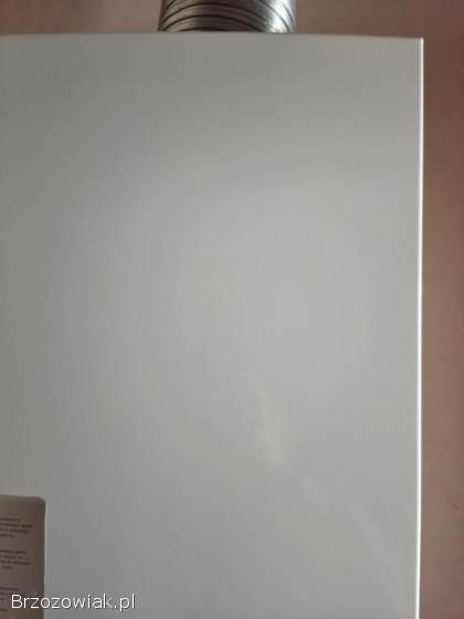 Piec gazowy,  Junkers