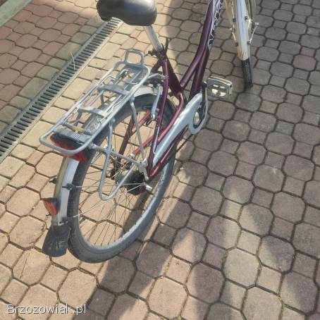 Rower damski