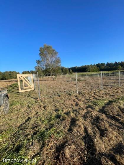 Ogrodzenie panelowe,  z siatki,  z siatki leśnej.
