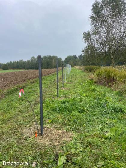 Ogrodzenie panelowe,  z siatki,  z siatki leśnej.