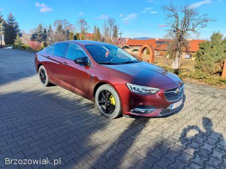Opel Insignia Polski salon 2017
