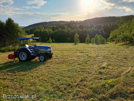 Kompleksowe Usługi Ogrodnicze : KOSZENIE,  ODKRZACZANIE,  WYCINKA,  PIELĘGNACJA. .