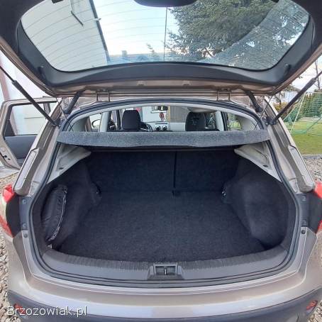 Nissan Qashqai Suv 2010