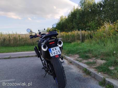 Aprilia Pegaso Strada 2005